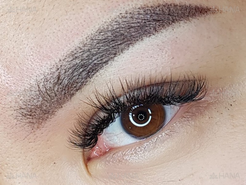 Dazzle Brows
